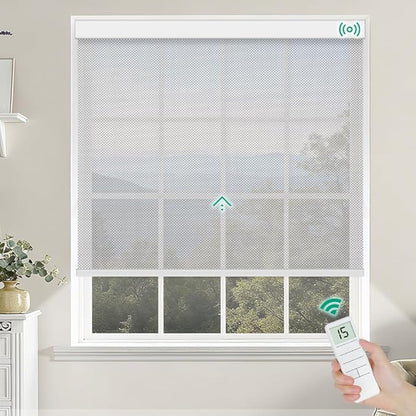 Motorized Roller Shades, Light Filtering Remote Control Custom Window Shades Compatible with Alexa Google Assistant via RF Hub, Rechargeable Electric Blinds for Windows (Fireproof Silver)