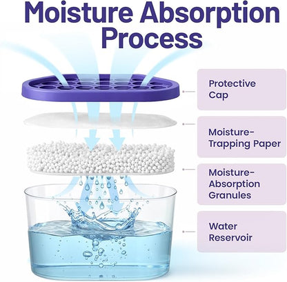 Premium Moisture Absorbers and Dehumidifier Tubs – High-Efficiency Closet Dehumidifier and Dehumidifier for Car, Odor Control Lavender, 6 Pack, 7.5 Oz