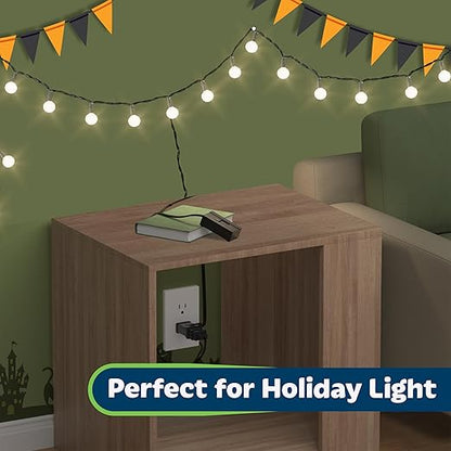 TOPGREENER Table-Top Plug in Dimmer for Table or Floor Lamps, Slide Control, Works with 360 Watt Incandescent and 150 Watt Dimmable CFL/LED, Off at Lowest dim, 6ft Cord, TGTTDL300-BK, Black, 2 Pack