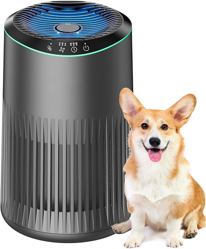 Grey Portable Air Purifiers for Bedroom or Office Use, 23dB Ultra Quiet Sleep Mode, Timer, Blue Ambient Light and Fragrance Sponge, 1P