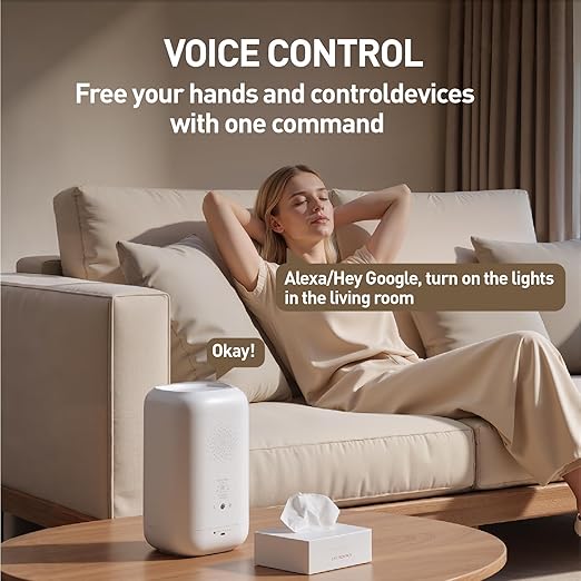 Matter Smart Switch, Smart Light Switch, WiFi Mini DIY Module, eWeLink Web, Flush-Mounted, APP & Voice Control, Smart Switches for Lights Compatible with Apple, Alexa & Google, 1PCS