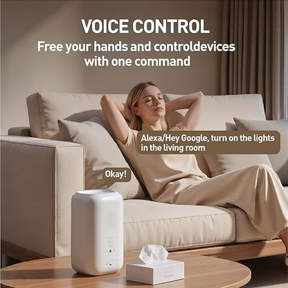Matter Smart Switch, Smart Light Switch, WiFi Mini DIY Module, eWeLink Web, Flush-Mounted, APP & Voice Control, Smart Switches for Lights Compatible with Apple, Alexa & Google, 1PCS