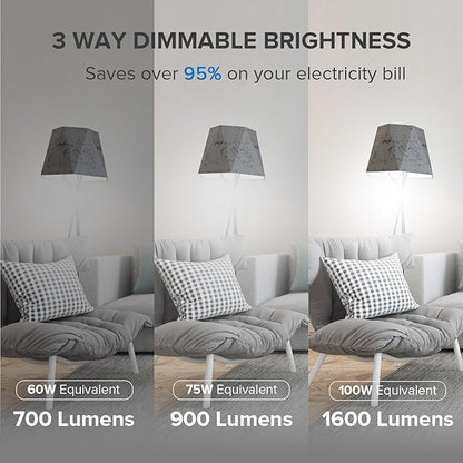 SANSI 3-Way A19 LED Light Bulb, 60W 75W 100W Equivalent 5000K Daylight White Three Way Light Bulb, 700LM 900LM 1600LM Dimmable E26 Base for Home Lighting