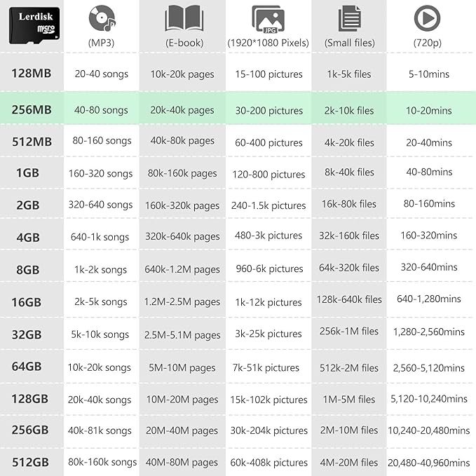 Factory Wholesale Micro SD Card 256MB (0.25GB) Pack of 10 in Bulk Low Capacity for MP3/Old Phones/Small Files Only -Not for Cameras/Dashcams/GB Devices