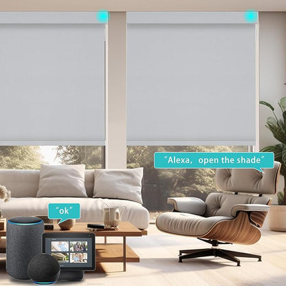 Changshade Smart Roller Shade with Remote Control Blackout Automatic Window Shades for Home Custom Size Motorized Blinds for Windows Work with Alexa,Google Home,Apple Homekit, Smokey Grey