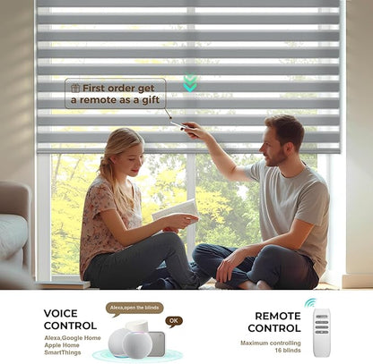 HeyBlinds Motorized Zebra Blinds with Remote, Smart Cordless Electric Zebra Shades for Indoor Windows Compatible with Alexa Google & Homekit, Custom Size (Wool-Gray LF)