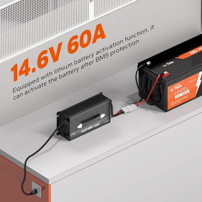 LiTime 12V 60A Lithium Battery Charger for LiFePO4, 14.6V Output Fast AC-DC