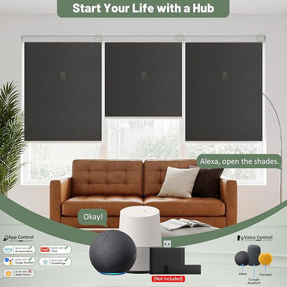 Motorized Blinds with Remote, Blackout No Drill Cordless Smart Roller Shades, Automatic Blinds for Windows, Black,30" W x 72" H