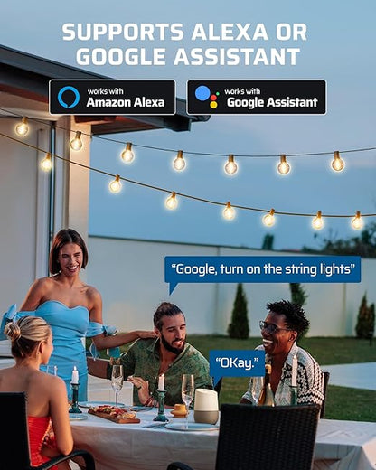 DEWENWILS Outdoor Dimmer for String Lights, Smart Dimmer Plug with Remote, Compatible with Alexa & Google Home, Waterproof, 100FT Range, Remote Dimming for Dimmable LED/Tungsten Bulbs