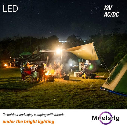 LED 12V Light Bulb, 100W Equivalent, Soft White 2700K, 13W 1200 Lumens, 12 Volt AC/DC, Non-Dimmable, E26 Base, Low Voltage Light Bulbs for Boat, RV, Shed, Off Grid Cabin, and Solar Power, 4-Pack