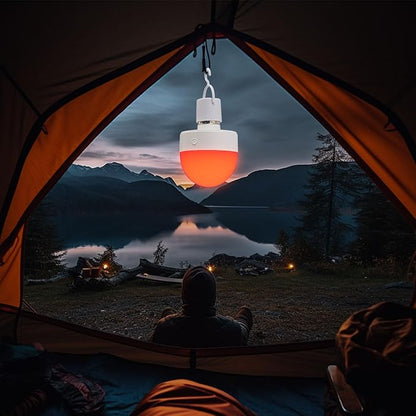 Rechargeable Light Bulb RGB Bulb with Remote, 2000 mAh LED w/Timer & Dimmable, Portable Emergency Operated Bulb w/Hook, Camping Lantern for Tent Hiking Fishing Outdoor Home Power Failure