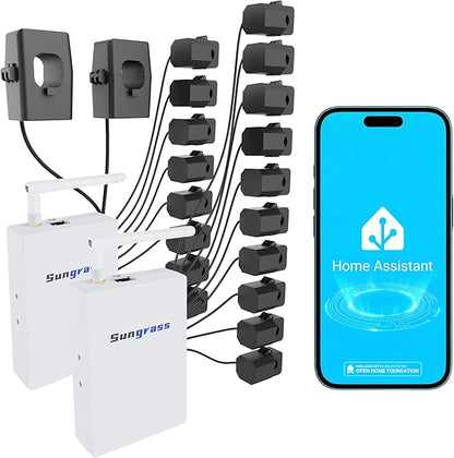 20-Circuit Whole Home Energy Monitor for Home Assistant-Real Time Electricity Usage Monitor, Solar Self-Consumption Trace, Automation and Control, Historical Energy Tracking (2)