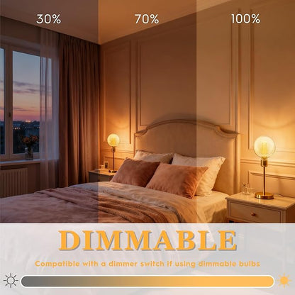 Globe Decorative Light Bulbs Warm, Oversized Vintage Edison Dimmable LED Bulb, 3.5W Low Lumen Eye-Caring Soft Dim Lighting for Mood(Not Daylight White), E26 Medium Base, Amber RN G125