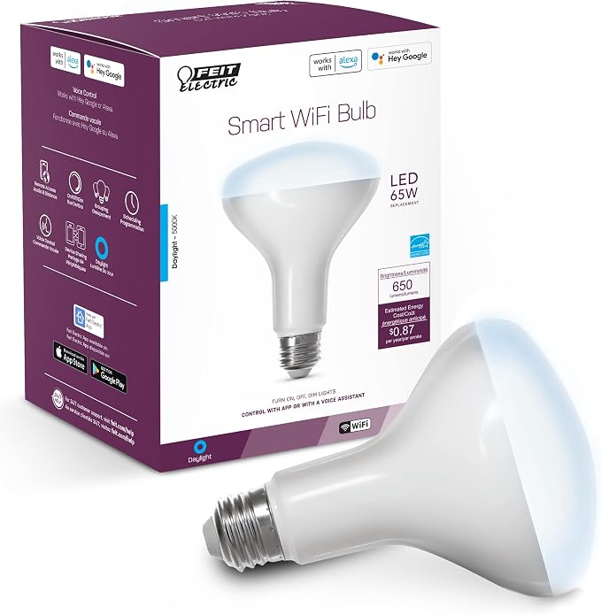 Feit Electric BR30 Smart Flood Light Bulb - Daylight, 65W Eq - 1 Pack