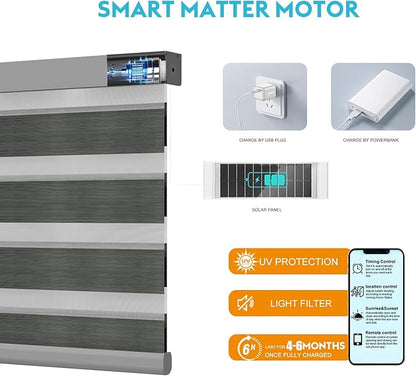 Motorized Zebra Blinds with Remote Smart Blind Work with Homekit Alexa SmartThings Electric Day and Night Shade Cordless Automatic Solar Powered Window Shade Customize(Carbon Dark Grey)