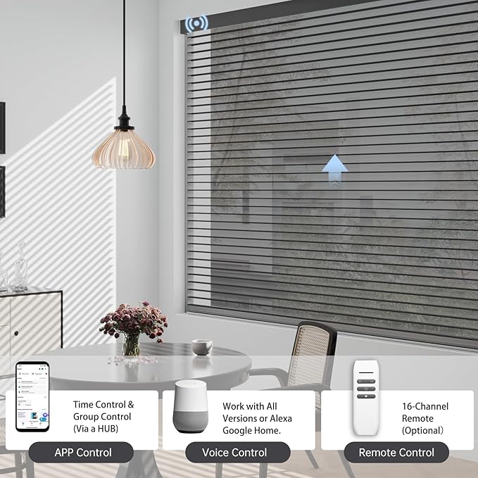 Motorized Sheer Shades with Remote, Automatic Dual-Layered Shades for Windows, Smart Light Filtering Blinds Compatible with Alexa, Custom Size (Light Filtering Drizzle Black)