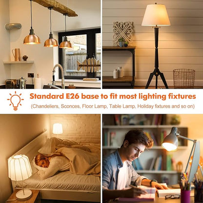 LED Light Bulbs, 100 Watt Equivalent A19 LED Bulbs, 13W 2700K Warm White 1500 Lumens Non-Dimmable Bright E26 Edison Medium Screw Bulbs for Home Bedroom Kitchen Living Room Office Lamp, 4-Pack