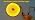 iNextStation 16.4FT 12V LED Strip Lights Yellow Neon Rope Lights (No Plug)