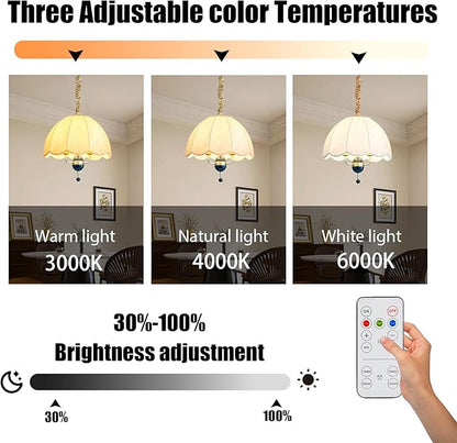 Rechargeable Battery Operated Light Bulbs for Non-Hardwired Fixtures with Remote and Timer, 3 Color Temps Dimmable Battery Backup Bulbs with Hooks for Decorative Lighting Outdoor Lighting