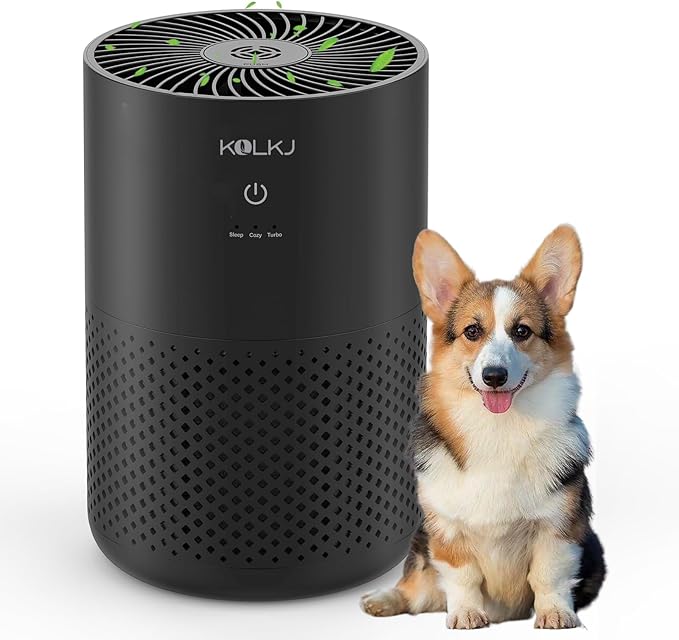 Air Purifiers for Home Bedroom,KQLKJ H13 True HEPA Air Purifier with Fragrance Sponge for Better Sleep, Pollen, Smoke, Dusts, Pets Dander, Odor, Small Air purifier for Office,Dorm Room(Black)