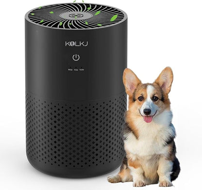 Air Purifiers for Home Bedroom,KQLKJ H13 True HEPA Air Purifier with Fragrance Sponge for Better Sleep, Pollen, Smoke, Dusts, Pets Dander, Odor, Small Air purifier for Office,Dorm Room(Black)