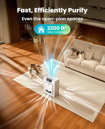 oneisall Air Purifiers for Home Pets with Double-Sided Washable HEPA Filters, Large Rooms Up to 2200Ft², Air Purifier for Dander, Odors, Allergens, Pet Fluff Hairs,Pollutants, Smoke, and Dust, PP02