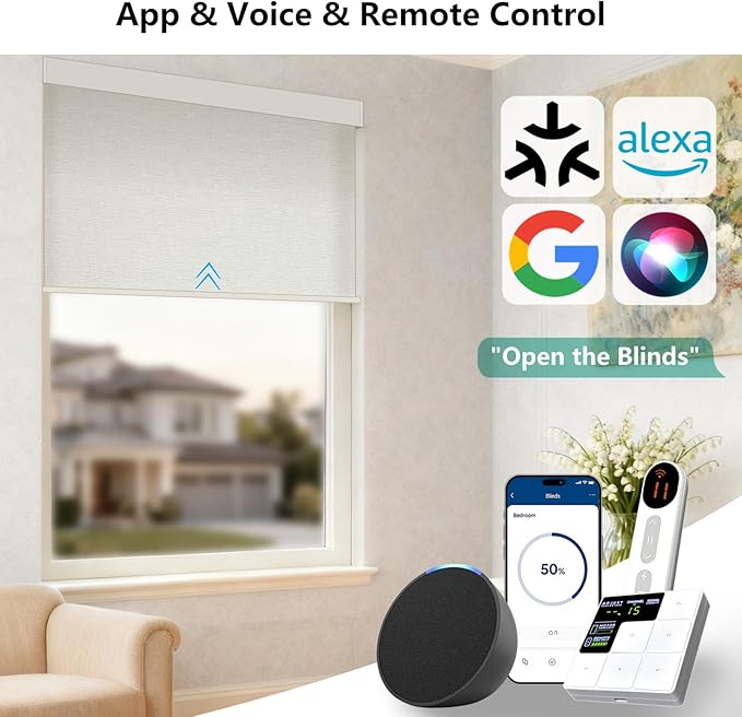 Motorized Light Filtering Roller Shades – Smart Electric Blinds for Living Room, Alexa Google Home Siri, Matter Compatible, Custom Window Shades, Cordless Rechargeable