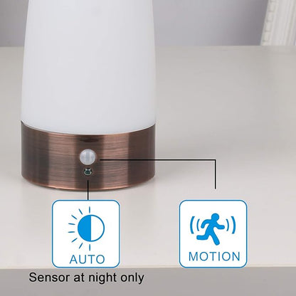 WRalwaysLX Retro LED Night Light for Home,Small Lamp with Wireless PIR LED Motion Sensor Indoor/Outdoor,Battery Operated Lamp for Bedroom,Hallway,Kitchen