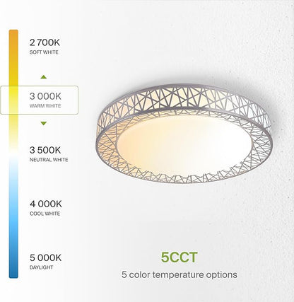 ASD 20 Inch LED Flush Mount Ceiling Light Fixture for Bedroom, 42W 2474LM 5CCT 2700K-5000K, Dimmable Lights, Dining, Living Room, Kitchen Lamps, Modern Home Lighting Fixtures, Nickel, ETL, 2 Pack