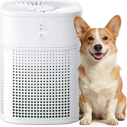 Air Purifiers for Home, Covers Up to 300 ft², High Torque Motor, 4 Mode, Remove Dust Smoke Odor, Essential Oil Diffuser, Air Purifiers for Bedroom, Office, Sleep Mode, Whisper Quiet, White
