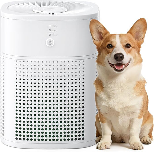 Air Purifiers for Home, Covers Up to 300 ft², High Torque Motor, 4 Mode, Remove Dust Smoke Odor, Essential Oil Diffuser, Air Purifiers for Bedroom, Office, Sleep Mode, Whisper Quiet, White