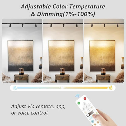 200W Low Voltage LED Power Driver Transformer with LED Controller, 24V DC Power Supply for Track Lighting, Dimmable & Control via App, Remote, Compatible Track Rails & Light Heads
