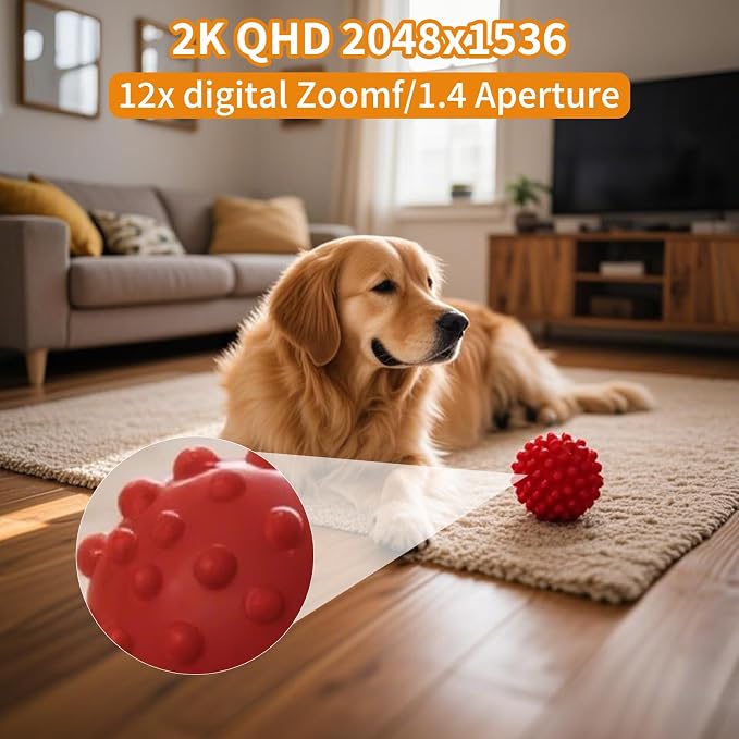 MeterMall HuntVision - 3MP Indoor WiFi PT Camera, Ivy Smart APP, Support 2.4G WiFi and Bluetooth, Day and Night Mode, Security Camera with Accurate Human Detection and Human Tracking