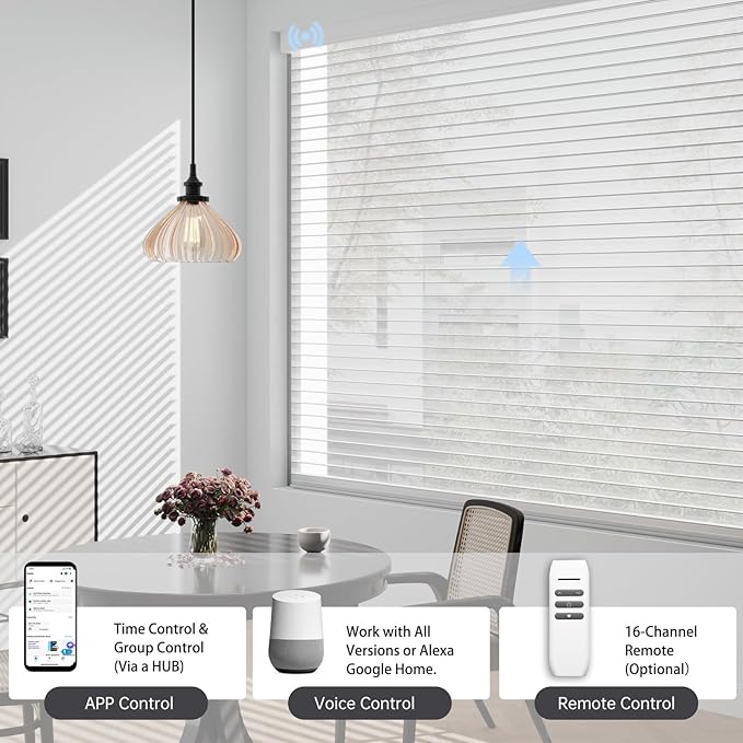 Motorized Sheer Shades with Remote, Automatic Dual-Layered Shades for Windows, Smart Light Filtering Blinds Compatible with Alexa, Custom Size (Light Filtering Drizzle White)