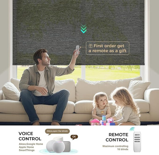HeyBlinds Motorized Blinds with Remote, Smart Roller Shades with App & Voice Control, Work with Alexa Google HomeKit, Light Filtering Custom Shades for Living Room Office (Light Chaser-Anthracite LF)