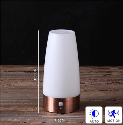 WRalwaysLX Retro LED Night Light for Home,Small Lamp with Wireless PIR LED Motion Sensor Indoor/Outdoor,Battery Operated Lamp for Bedroom,Hallway,Kitchen