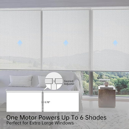 Motorized Coupled Shades, Falme Resistant Smart Solar Shades for Large Windows Automatic Blinds Compatible with Alexa, Electric Roller Blinds Customized for Home Office(5% Openness Sliver)