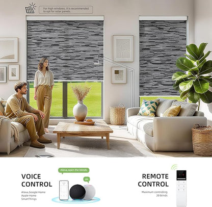 ZSTARR Motorized Smart Light Filtering Blind for Window with Remote Control, Automatic Blackout Roller Shade Customizable Size,with Valance Child Safety Rechargeable Battery Blinds (Light Black)