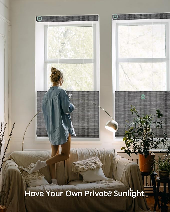 Yoolax Smart Top Down Bottom Up Roman Shades, Motorized Roman Shades with Remote, Light Filtering Smart Blinds Work with Alexa, Google, Apple Homekit for Living Room, Customized (Strip Dark Grey)
