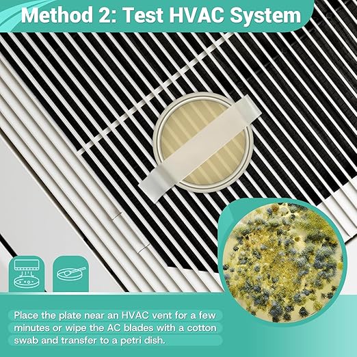 Mold Test Kit for Home Detection: 12 Professional DIY Testing Kits for Home Surfaces & Air Quality Detector & HVAC Monitor