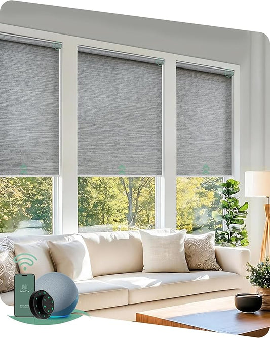 Yoolax Motorized Blinds with Remote, Light Filtering Smart Roller Shades Work with Alexa, Google, Apple Homekit, Custom Automatic Shades with Voice Control for Living Room (Foggy Gray)