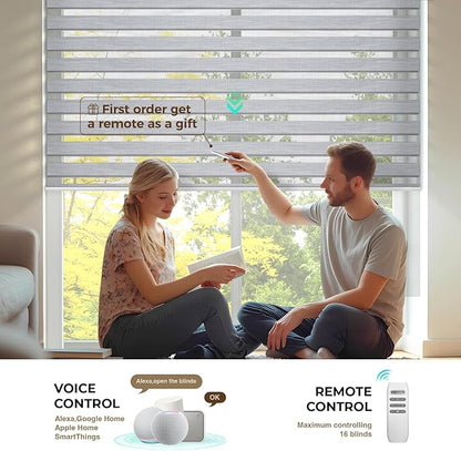 HeyBlinds Motorized Zebra Blinds with Remote, Smart Cordless Electric Zebra Shades for Indoor Windows Compatible with Alexa Google & Homekit, Custom Size (Flourish-Gray BO)