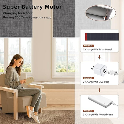 Motorized Blinds Roller Shade with Remote: Canisteo Automatic Smart Blind for Windows 100% Blackout, Electric Blinds Compatible with Alexa/Google Home/Apple Homekit, Customized Size, Neat Medium Grey