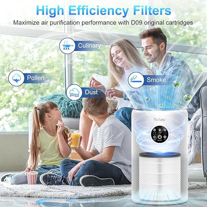 Tailulu D10 Replacement Filter, Air Purifier Filter for Tailulu D10 Air Purifier, 3-in-1 H13 Grade True Replacement Filte 1 Pack with Extra 6 Pieces Aroma Pads