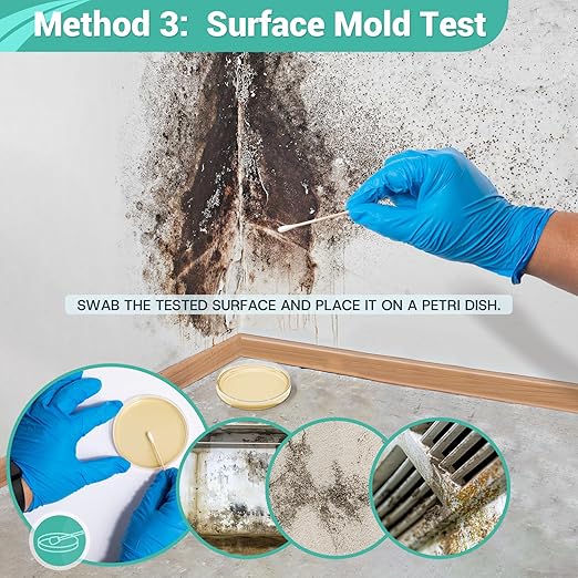 Mold Test Kit for Home Detection: 4 Simple DIY Science Kits for Fastly Testing Home Surfaces & Air Quality Detector & HVAC Monitor Includes Detailed Identification Guide