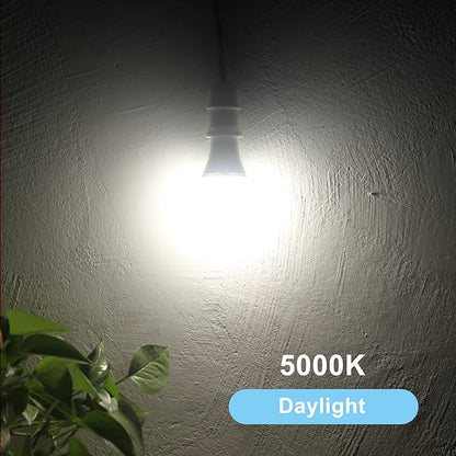Qualilux Dusk to Dawn LED Light Bulbs Outdoor, Automatic On/Off, 60W Equivalent, Daylight 5000K, Energy Efficient 9.5W, 850 Lumen, A19, E26 Base, 4-Pack, HQ-H012