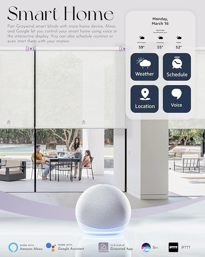 Graywind Motorized Roller Shades Compatible with Alexa Google Hardwired WiFi Smart Light Filtering Blind Remote Automated Blinds Electric Window Shade, Custom Size (3% Openness Solar Black Pearl)