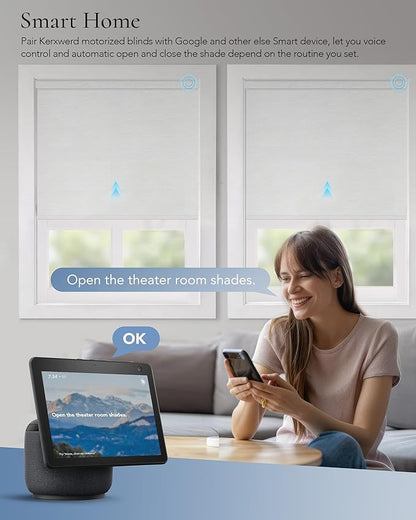 Motorized Light Filtering Shades Compatible with Alexa Google Smart Blinds Automatic Window Shade Remote Control 70% Blackout Jacquard White