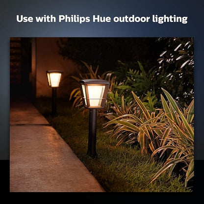 Philips Hue Outdoor 8-Foot Cable and T Connector - Connect Your Hue Outdoor Low Voltage Lights - 1 Pack - Requires Hue Bridge - Weatherproof