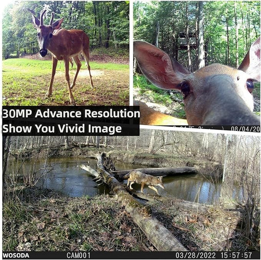 WOSODA 2 Pack Trail Camera with Night Vision Motion Activated Waterproof,30MP Game Camera,1080P HD Trail Cam with SD Card for Wildlife Monitoring,Outdoor Scouting & Security